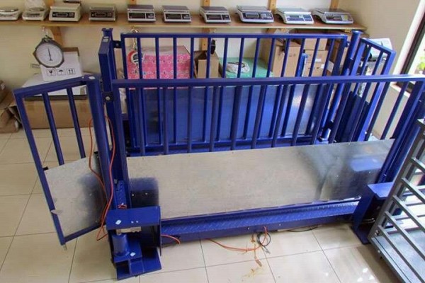 Animal Weighing Scale for cattle (Mbarara, Uganda) - Contact Phone, Address