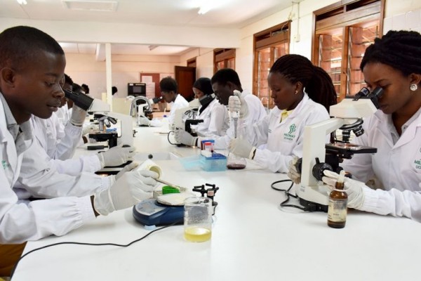 Medical laboratory jobs in tanzania